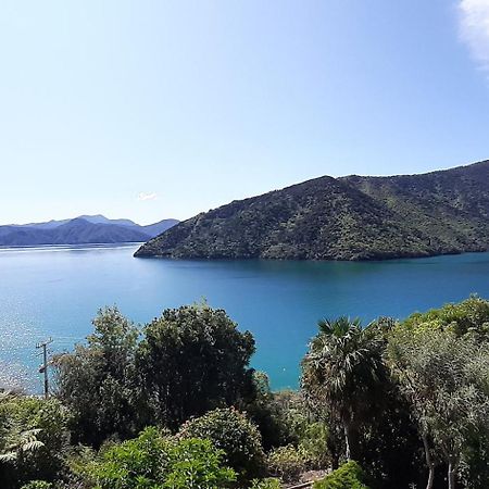 A Sea View B&B Picton Exterior foto