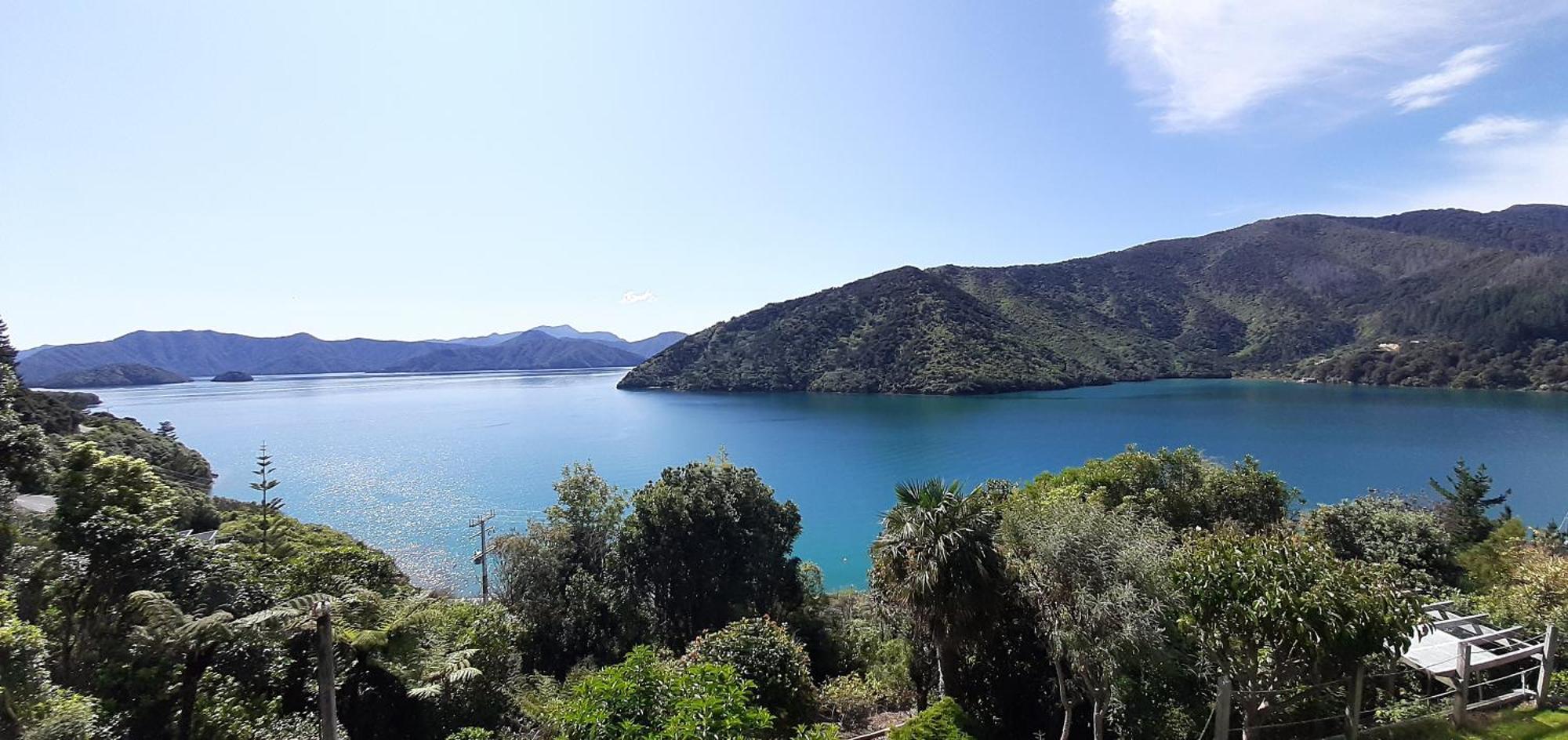 A Sea View B&B Picton Exterior foto